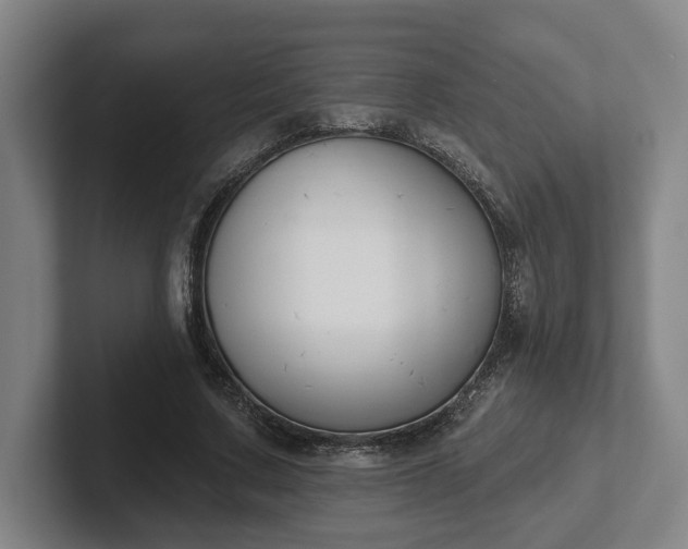 X0000102000683200807251246