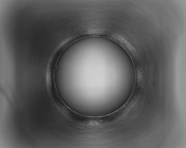 X0000102000684200807251246