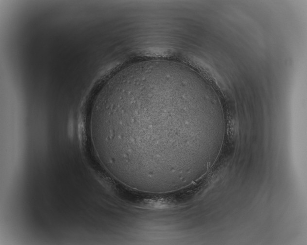 X0000102000688200807251246