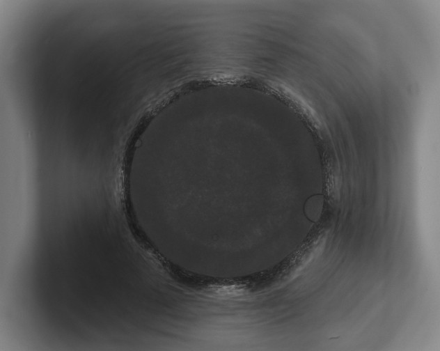 X0000102000689200807251246