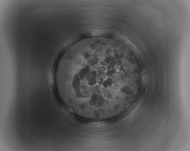 X0000102000691200807251246