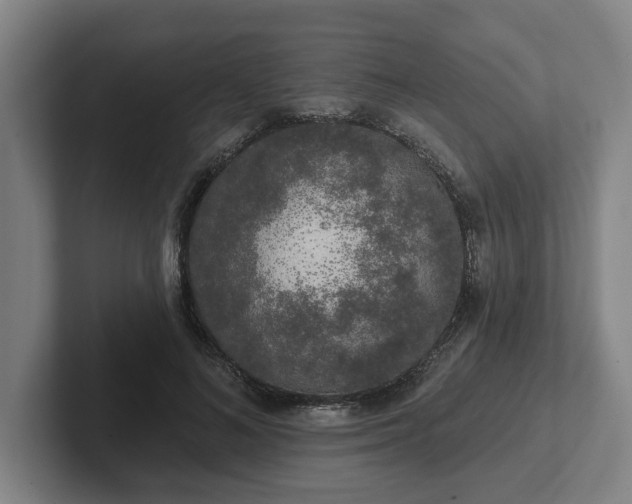 X0000102000692200807251246