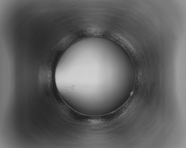 X0000102000693200807251246