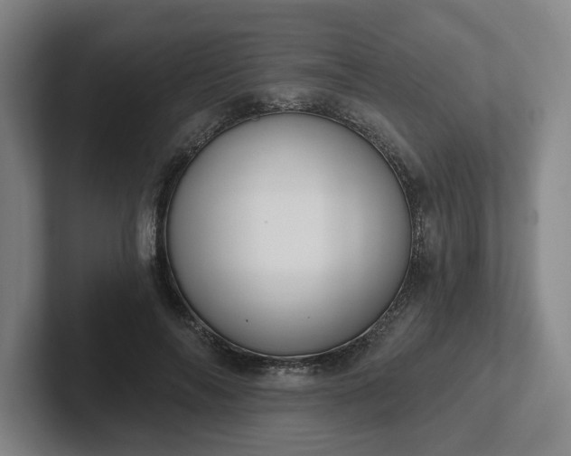 X0000102000694200807251246