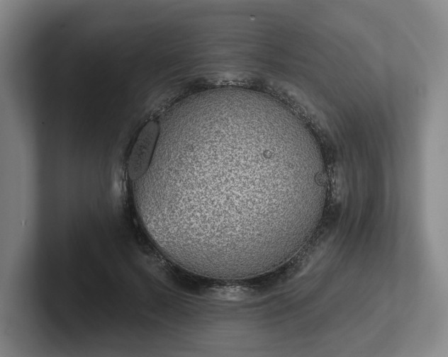 X0000102000695200807251246