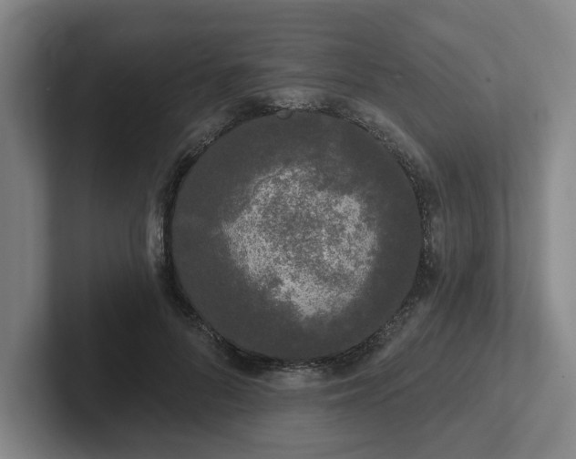 X0000102000696200807251246