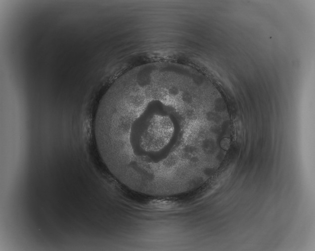 X0000102000699200807251246