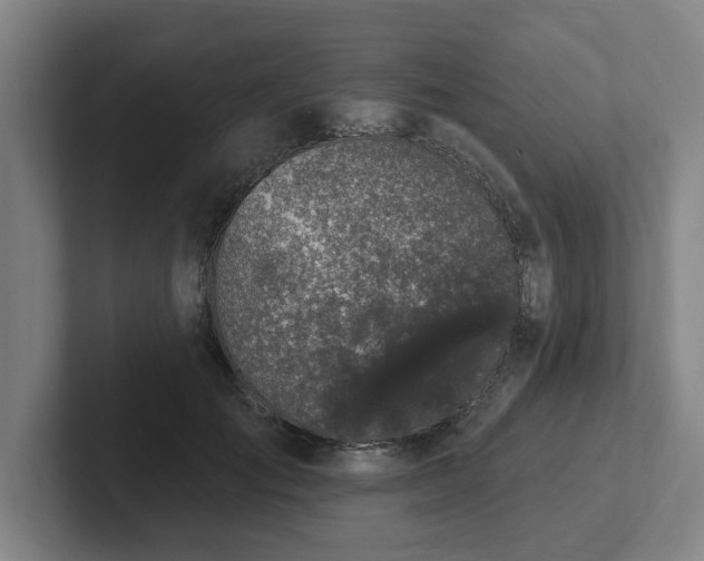 X0000102000701200807251246