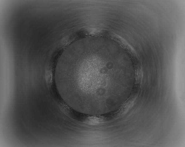 X0000102000703200807251246