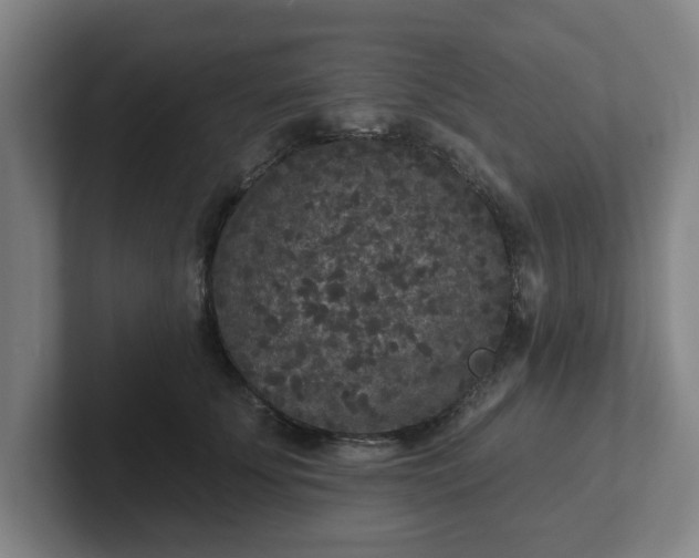 X0000102000707200807251246