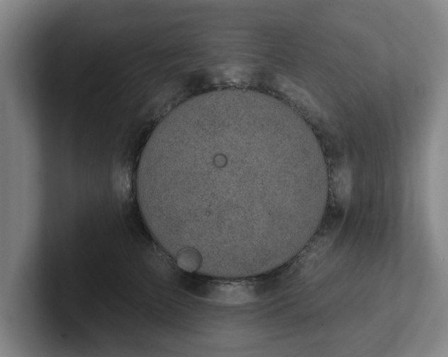 X0000102000709200807251246