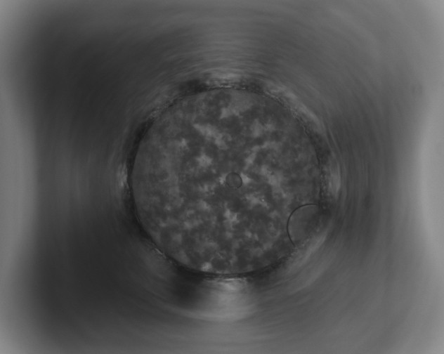 X0000102000711200807251246