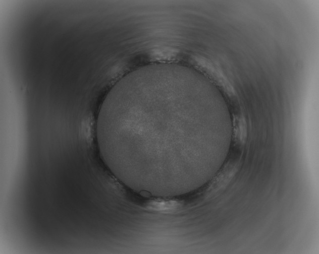 X0000102000712200807251246