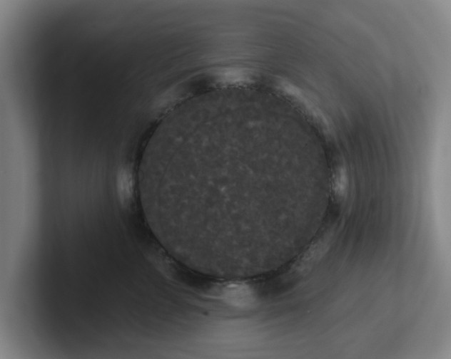 X0000102000715200807251246