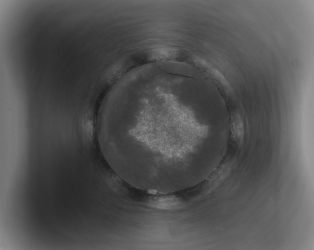 X0000102000716200807251246