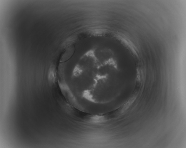 X0000102000718200807251246