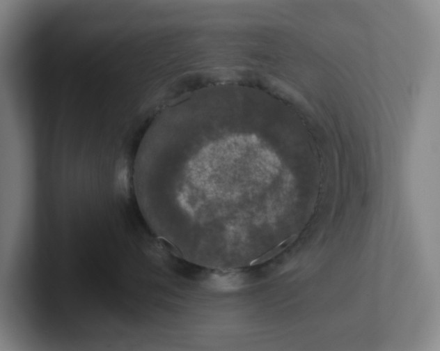 X0000102000720200807251246