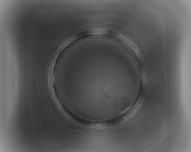 X0000102000721200807251245