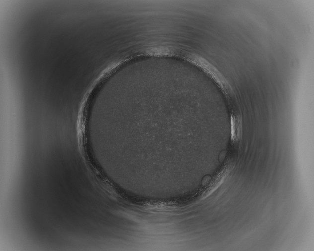 X0000102000723200807251245