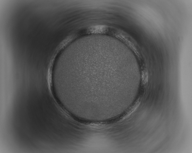 X0000102000725200807251245