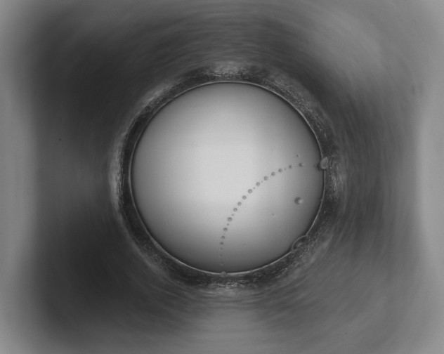 X0000102000728200807251245