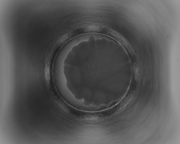 X0000102000729200807251245