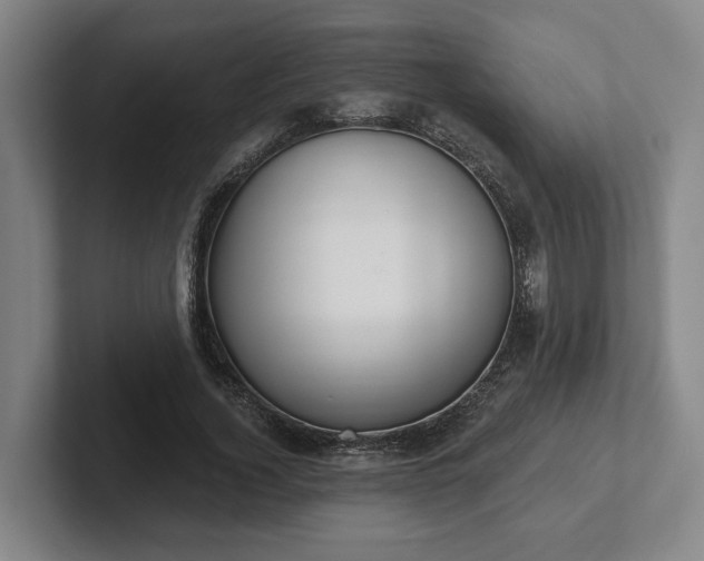 X0000102000732200807251245