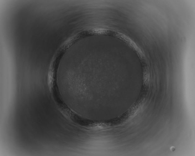 X0000102000736200807251245