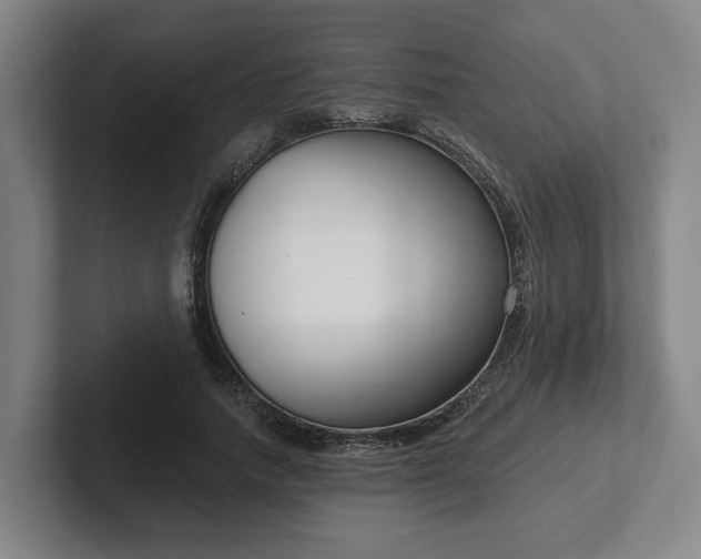 X0000102000738200807251245