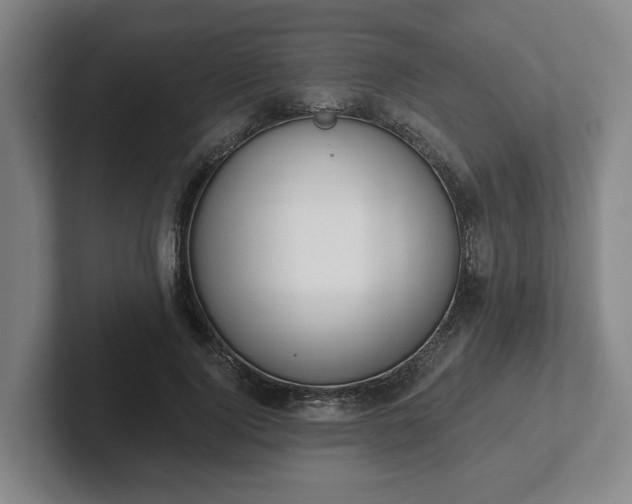 X0000102000740200807251245