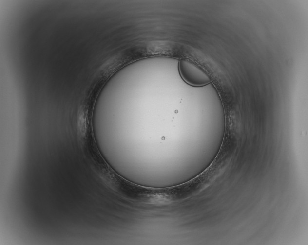 X0000102000741200807251245