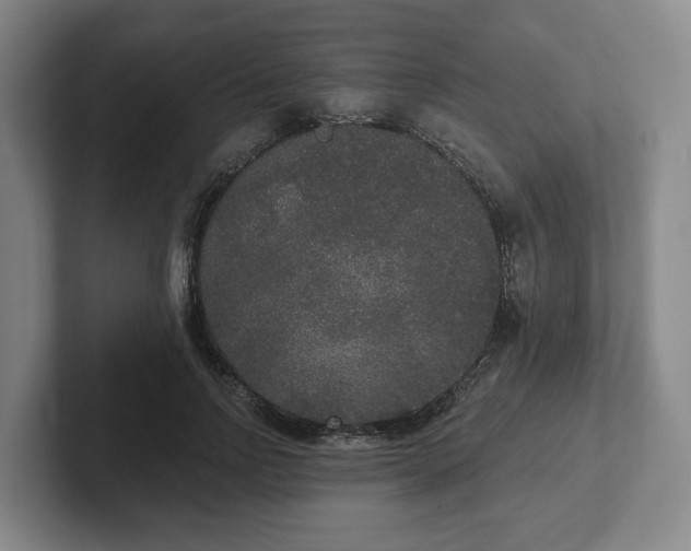 X0000102000742200807251246