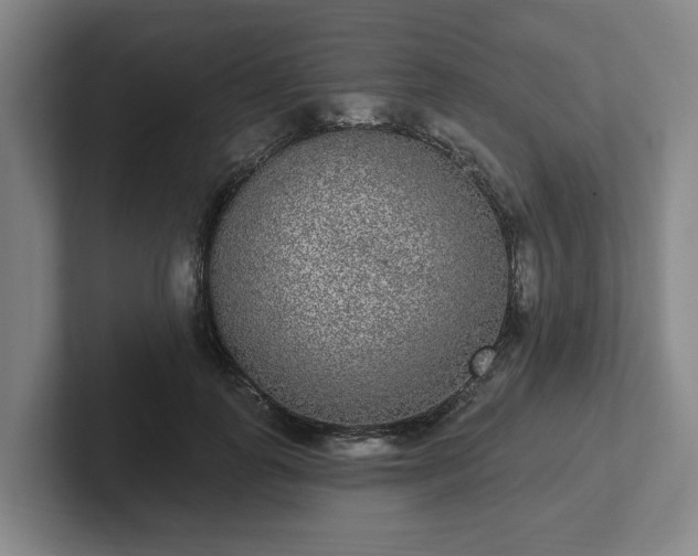 X0000102000747200807251246