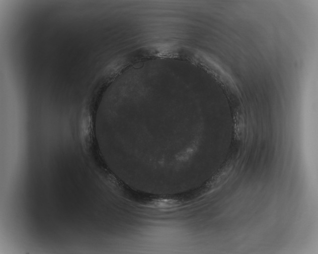 X0000102000748200807251246