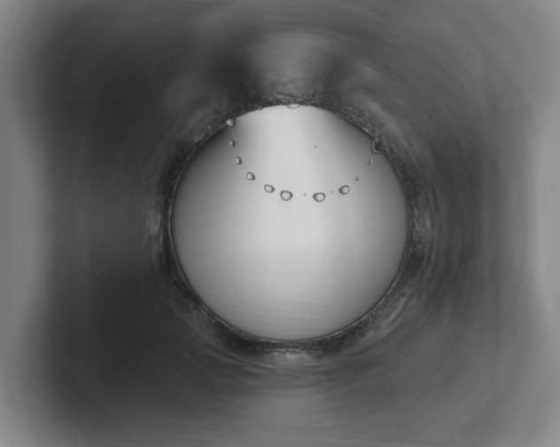 X0000102000749200807251246