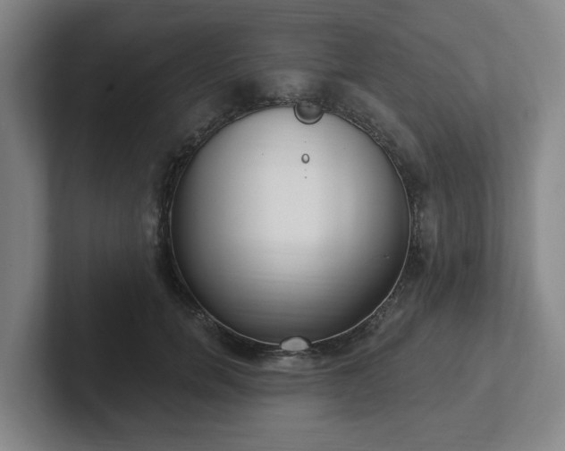 X0000102000750200807251246