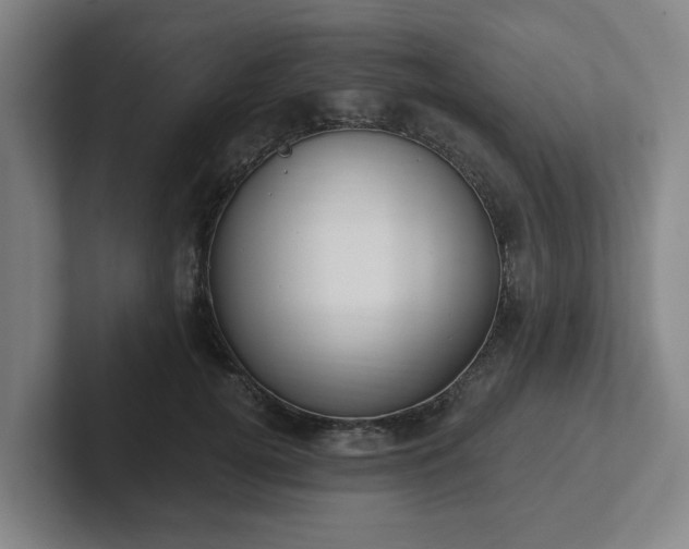 X0000102000752200807251246