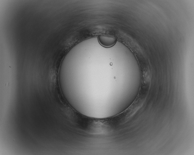 X0000102000753200807251246