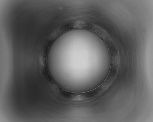 X0000102000755200807251246