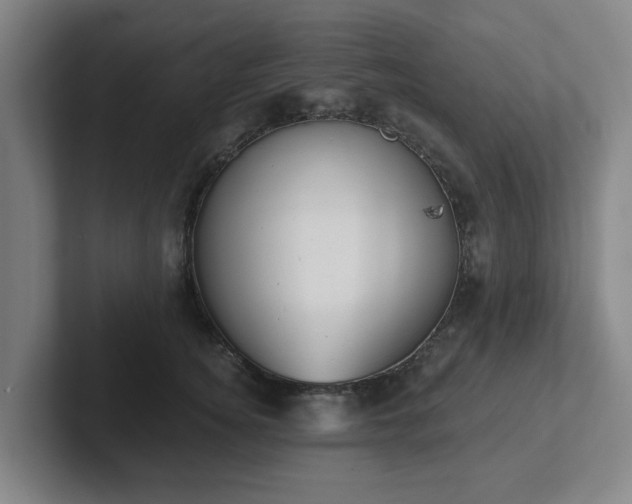 X0000102000756200807251246