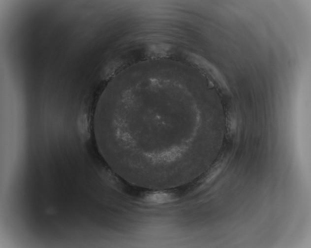 X0000102000759200807251246