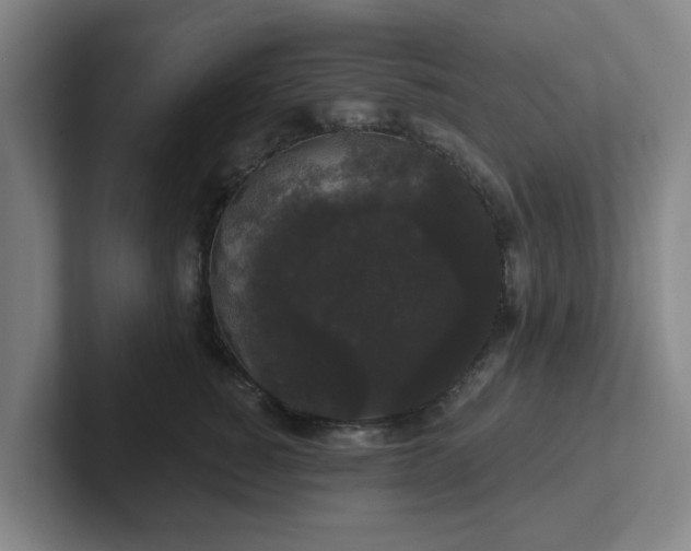 X0000102000760200807251246