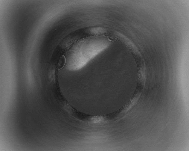 X0000102000762200807251246