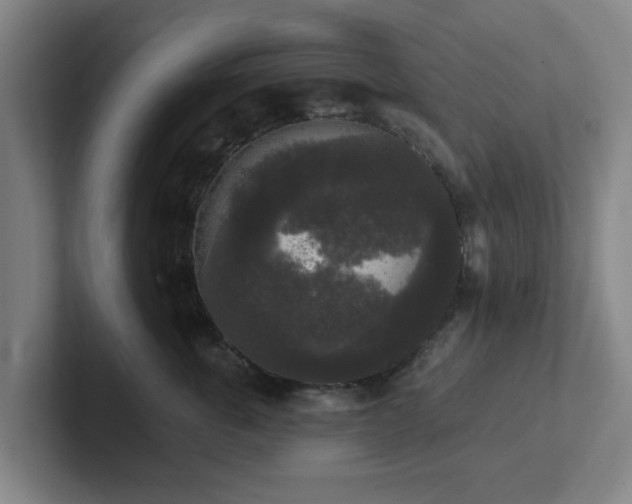 X0000102000763200807251246