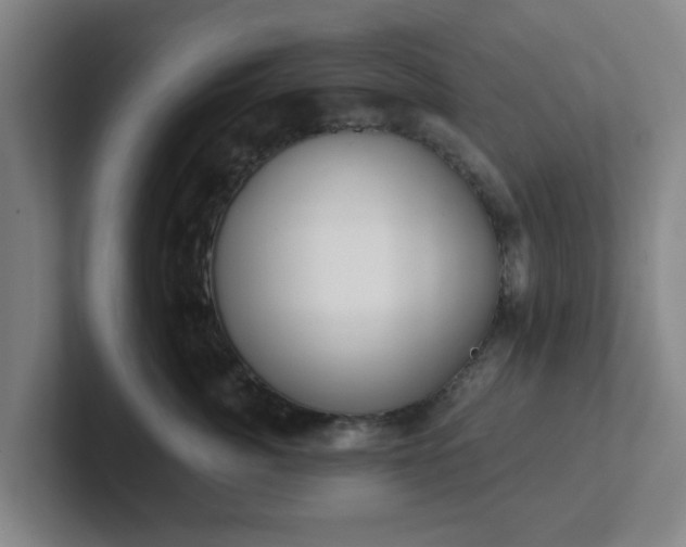 X0000102000764200807251246