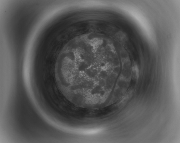 X0000102000765200807251246