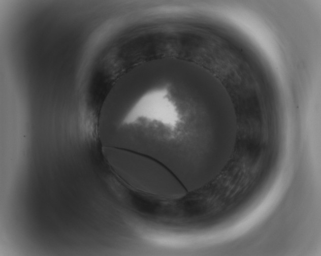 X0000102000766200807251246