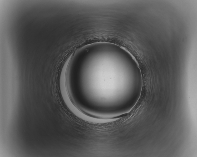 X0000102000769200807251245