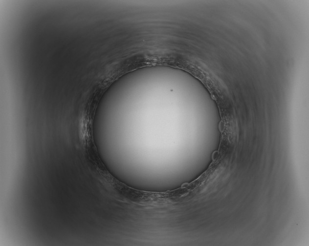 X0000102000770200807251245