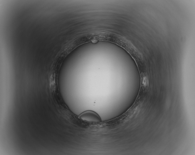 X0000102000771200807251245